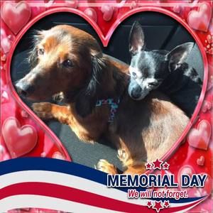 Meet your Posher, Katherine